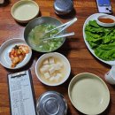 3585 | [리뷰] 대전맛집 광천식당