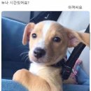 신갈리 네이버블로그