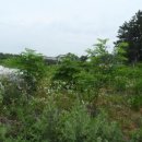 원북면사무소 이미지