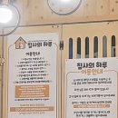 카페오늘하루 | 홍대 유기묘 카페 [집사의 하루 홍대] 방문후기