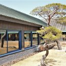세레니티