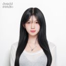 데이디디 네이버블로그