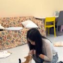 Neko Stay 네이버블로그