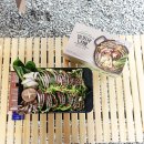 에치와이도마점 | 프레딧 야간안심배송 밀푀유나베 근사한~ 캠핑음식메뉴 추천 제목없음