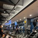 Y GYM FITNESS 이미지