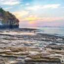 바다와숲 이미지