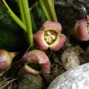 장현3리 이미지