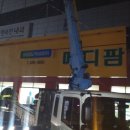 칠곡사랑약국 Daum카페