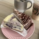 (주)코스닷츠 | 2024 가을