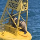 큰바다2 이미지
