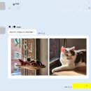 키이스롯데잠실 | 방탈출 꼬드기기 5분 스피치