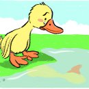 미운오리 이미지