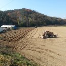 구미농장 이미지