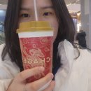 라라태권도 | 칭다오 갔다왔다오