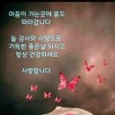 2월 7일 (수요일) 아침인사~ 이미지