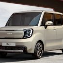 레이 카카오 검색결과