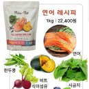 프라임펫