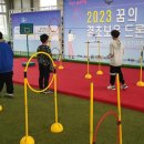 꿈의 비행 이미지