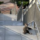 세븐일레븐 부산정관방곡리점 | 부산 숨은명소 정관박물관｜작지만 알찬 역사 박물관 후기 2탄