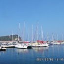 수산항요트마리나 이미지