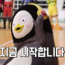 아이봄동물병원 이미지