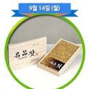 인빌쇼핑|추석맞이 일일특가(가평잣/나주배/금산수삼/홍로사과/사과배 혼합세트/연천햅쌀)