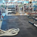 웰브릿지 스포츠 이미지