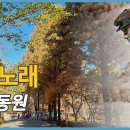이 동 이미지