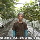 김천아그로 이미지