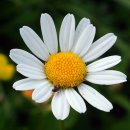 더케이 메디칼 이미지