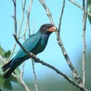 파랑새공원 이미지