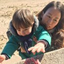 수륙해안로 이미지