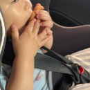 천지연랜드식당 | 🍊두돌아기랑 제주여행(서귀포) : 3일차👶🏻