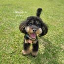 벨라켄넬 이미지