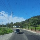 신하초 후문 앞 이미지