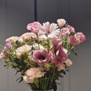 꽃조아화원 이미지