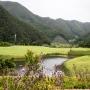 에콜리안 정선골프장 골프연습장 이미지