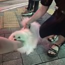 해주네집 이미지