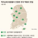 김현정떡볶이 이미지