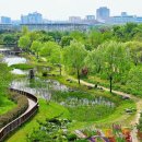 한밭수목원 이미지