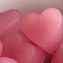 멍블랑 반려견미용실 이미지