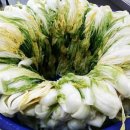 마마님 청국장