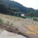 양평한강공인중개사사무소 이미지