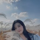 (주)투어메이트 이미지