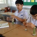 철성중학교 이미지