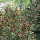 뉴신도공인중개사사무소 이미지