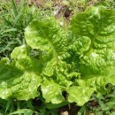 포승농장 이미지