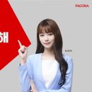 강남최선생 이미지