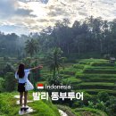 동부산악권 투어 2 | 발리 동부투어 코스 후기 렘푸양사원 포함 가족자유여행 추천