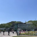 [순천여행 Day 2] 순천만국가정원, 순천만습지 (이동 팁 스카이큐브)